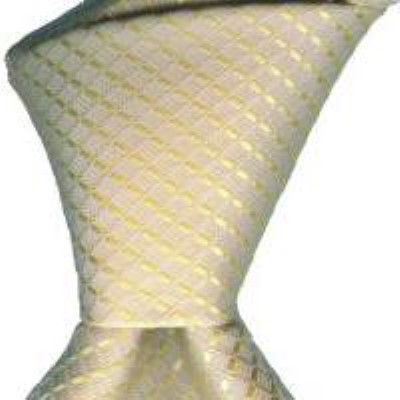 Cadouri : cravata model P23